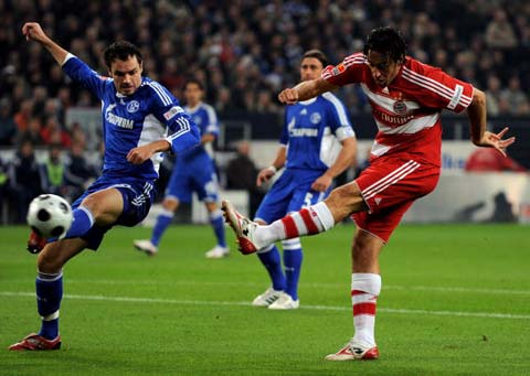 极大地拓宽 极大地拓宽